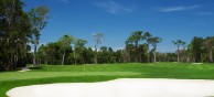 Vinpearl Golf Hai Phong - Green